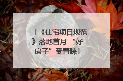 《住宅项目规范》落地首月 “好房子”受青睐