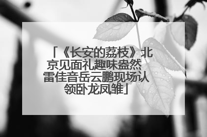 《长安的荔枝》北京见面礼趣味盎然 雷佳音岳云鹏现场认领卧龙凤雏
