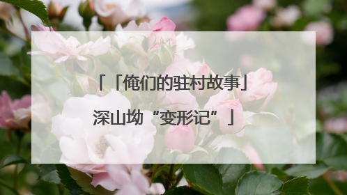 「俺们的驻村故事」深山坳“变形记”