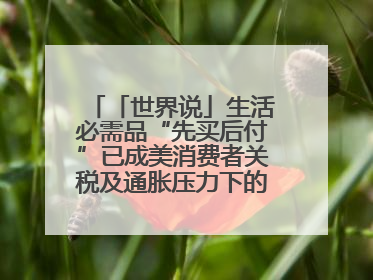 「世界说」生活必需品“先买后付”已成美消费者关税及通胀压力下的无奈抉择