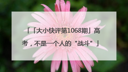 「大小快评第1068期」高考，不是一个人的“战斗”