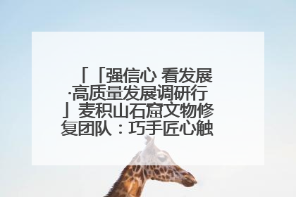 「强信心 看发展·高质量发展调研行」麦积山石窟文物修复团队：巧手匠心触摸“光阴的故事”