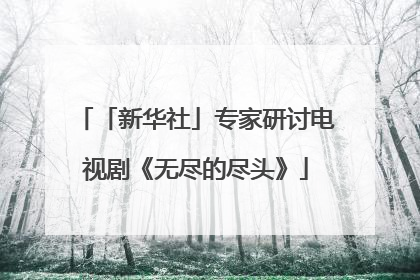 「新华社」专家研讨电视剧《无尽的尽头》
