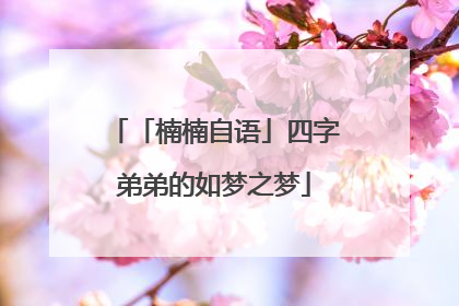 「楠楠自语」四字弟弟的如梦之梦