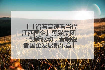 「沿着高速看当代江西国企」黑猫集团：创新驱动，奏响瓷都国企发展新乐章