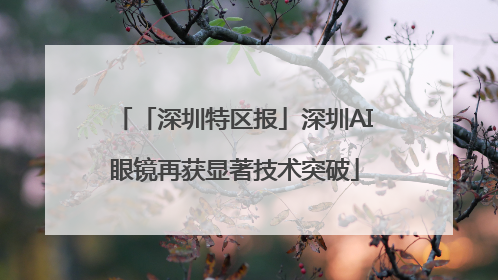 「深圳特区报」深圳AI眼镜再获显著技术突破