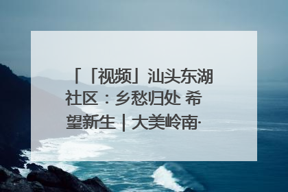 「视频」汕头东湖社区：乡愁归处 希望新生｜大美岭南·百村焕新记