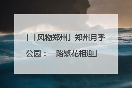 「风物郑州」郑州月季公园：一路繁花相迎