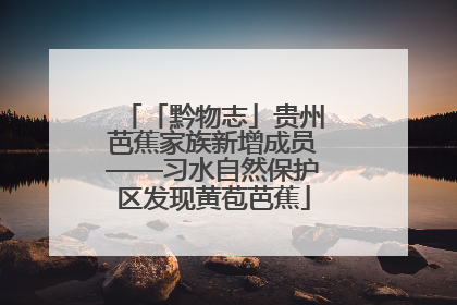 「黔物志」贵州芭蕉家族新增成员——习水自然保护区发现黄苞芭蕉