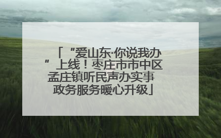 “爱山东·你说我办”上线！枣庄市市中区孟庄镇听民声办实事 政务服务暖心升级