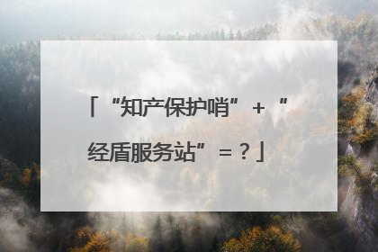 “知产保护哨”+“经盾服务站”=？