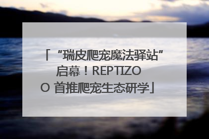 “瑞皮爬宠魔法驿站” 启幕！REPTIZOO 首推爬宠生态研学