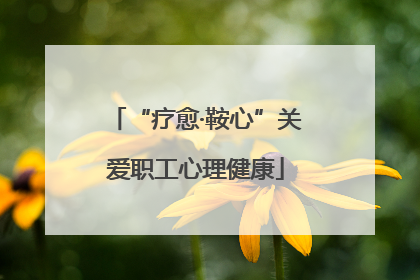 “疗愈·鞍心”关爱职工心理健康