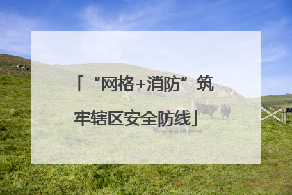 “网格+消防”筑牢辖区安全防线