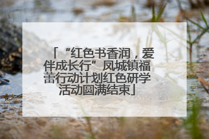 “红色书香润，爱伴成长行”凤城镇福蕾行动计划红色研学活动圆满结束