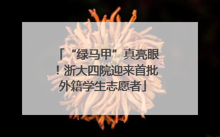 “绿马甲”真亮眼！浙大四院迎来首批外籍学生志愿者