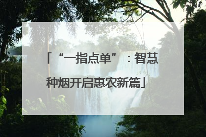 “一指点单”：智慧种烟开启惠农新篇