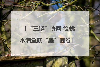 “三链”协同 绘就水清鱼跃“星”画卷