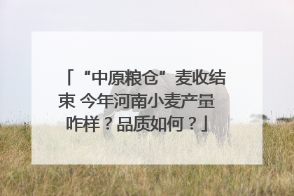 “中原粮仓”麦收结束 今年河南小麦产量咋样？品质如何？