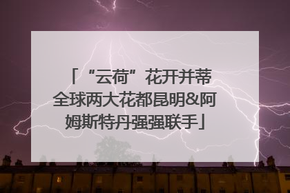 “云荷”花开并蒂 全球两大花都昆明&阿姆斯特丹强强联手