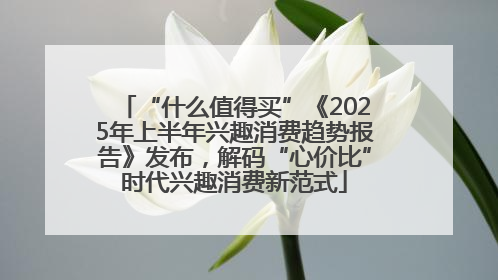 “什么值得买”《2025年上半年兴趣消费趋势报告》发布，解码“心价比”时代兴趣消费新范式