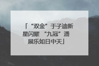 “双金”于子迪新星闪耀 “九冠”潘展乐如日中天