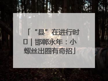 “县”在进行时⑬｜邯郸永年：小螺丝出圈有奇招