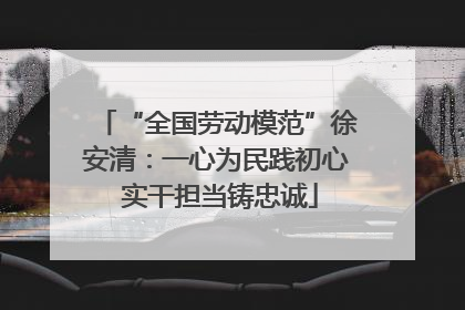 “全国劳动模范”徐安清：一心为民践初心 实干担当铸忠诚