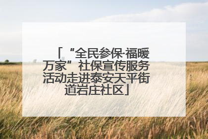 “全民参保·福暖万家”社保宣传服务活动走进泰安天平街道岩庄社区