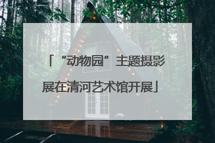 “动物园”主题摄影展在清河艺术馆开展