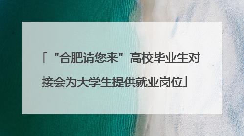 “合肥请您来”高校毕业生对接会为大学生提供就业岗位