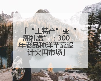 “土特产”变“潮礼盒”：300年老品种洋芋靠设计突围市场