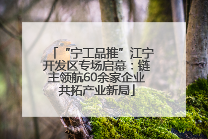“宁工品推”江宁开发区专场启幕：链主领航60余家企业共拓产业新局