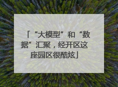 “大模型”和“数据”汇聚，经开区这座园区很酷炫