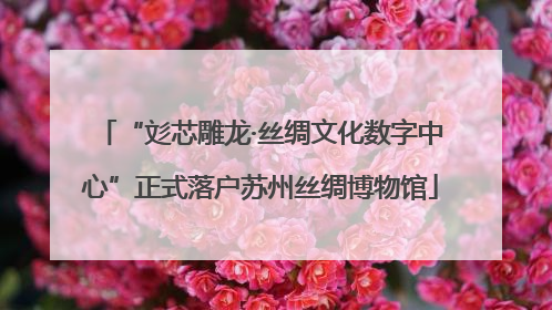“彣芯雕龙·丝绸文化数字中心”正式落户苏州丝绸博物馆