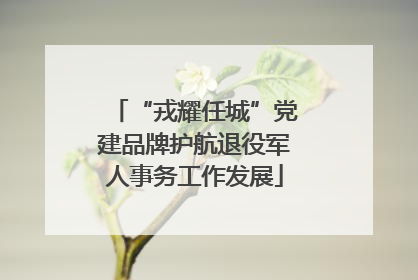 “戎耀任城”党建品牌护航退役军人事务工作发展