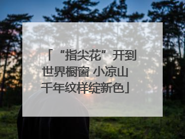 “指尖花”开到世界橱窗 小凉山千年纹样绽新色
