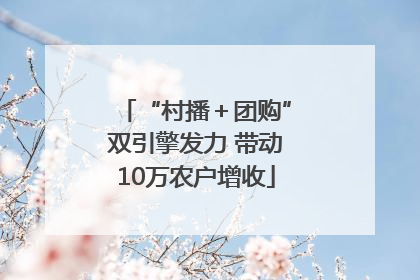“村播＋团购”双引擎发力 带动10万农户增收