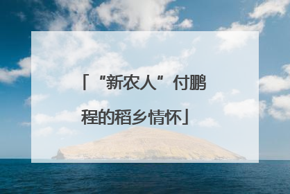 “新农人”付鹏程的稻乡情怀