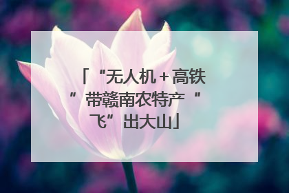 “无人机＋高铁”带赣南农特产“飞”出大山
