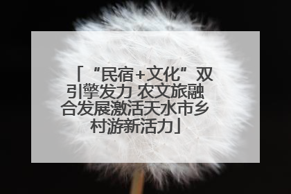 “民宿+文化”双引擎发力 农文旅融合发展激活天水市乡村游新活力