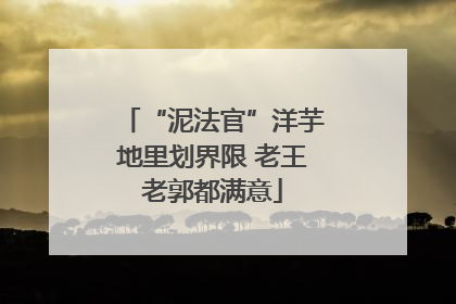 “泥法官”洋芋地里划界限 老王老郭都满意