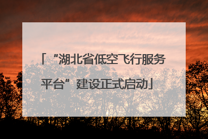 “湖北省低空飞行服务平台”建设正式启动