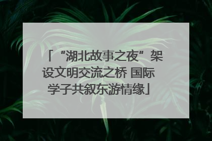 “湖北故事之夜”架设文明交流之桥 国际学子共叙东游情缘