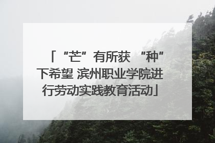 “芒”有所获 “种”下希望 滨州职业学院进行劳动实践教育活动
