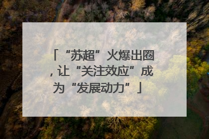 “苏超”火爆出圈，让“关注效应”成为“发展动力”