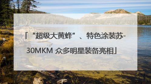 “超级大黄蜂”、特色涂装苏-30MKM 众多明星装备亮相