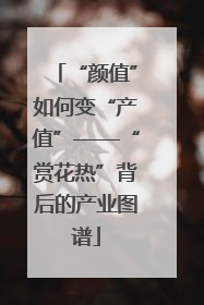 “颜值”如何变“产值”——“赏花热”背后的产业图谱
