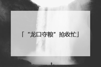 “龙口夺粮”抢收忙