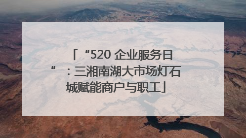 “520 企业服务日”：三湘南湖大市场灯石城赋能商户与职工